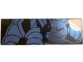 Chinese 25th Anniversary Blastoise UPC